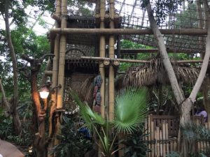 jungle dome